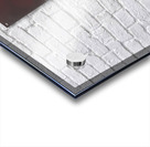 Hot Tropics Acrylic print