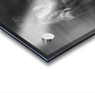 Noir Detecting Acrylic print