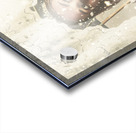 Royal Winters Acrylic print