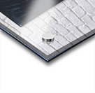 Coronation Of Webs Acrylic print