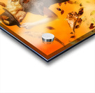 Explore The Fall Acrylic print