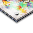 Colors Of Carnival Creativity  Acrylic print