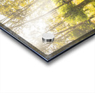 Nature Lovers Lane Acrylic print