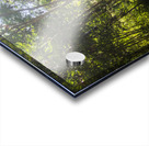 Green Wilds Acrylic print