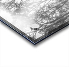 Grey Vertices  Acrylic print