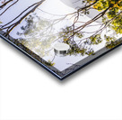 Heartland of Gold Acrylic print