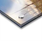 Misty Horizons Acrylic print