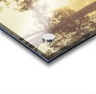 Dirt Road Dawn Acrylic print