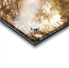 Through Fall Acrylic print