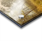 Bushland Backroad Acrylic print