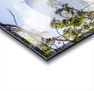 Glimpses Of Mt Perry Acrylic print