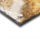 Wooded Trails Acrylic print