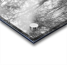 Inland Interplay Acrylic print