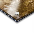 Sunflares And Foliage Acrylic print