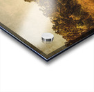 Wild Old Ways Acrylic print