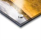 In The Outbacks Acrylic print