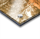 Bucolic Backroad Acrylic print