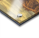 Wind And Fall Fields Acrylic print