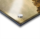 Country Weathered Acrylic print