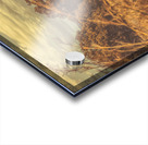 Wild Autumn Acrylic print