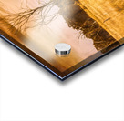 Weatherly Charm Acrylic print