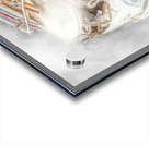 Van Going Acrylic print