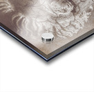 Beauty Never Fades Acrylic print