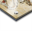 Desert Sun Serpent Acrylic print