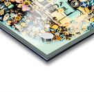 Coasting Around Acrylic print