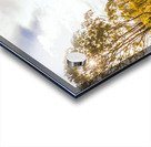 Lofty Heights Acrylic print