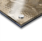 Rough Shot Acrylic print