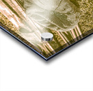 Old Hat Acrylic print