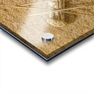 Match Sticks Acrylic print