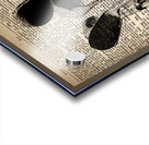 Definitive Acrylic print