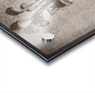 Old Bag Acrylic print