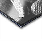 Classic Clubhouse  Acrylic print