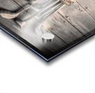 Grandfathered Acrylic print