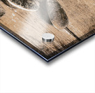 Authentic Acrylic print