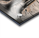 The Attic Masters Acrylic print