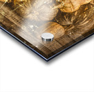 Country Bumpkins Acrylic print