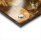 Squash Signboard Acrylic print