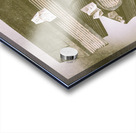 Novella Acrylic print