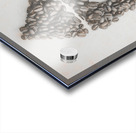 Morning Liftoff Acrylic print