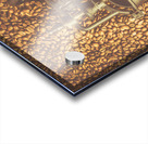 Daily Grind Acrylic print