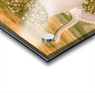 High Coffee Acrylic print