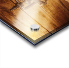 Thirst Light Acrylic print