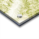 Ferny Forestry Acrylic print