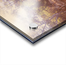 The Warmth Acrylic print