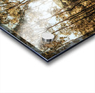 High Country Acrylic print