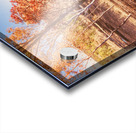 Road Outback Acrylic print